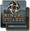 Ninjas in Pyjamas (Foil) | DreamHack 2014