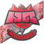 HellRaisers (Holo) | Katowice 2015