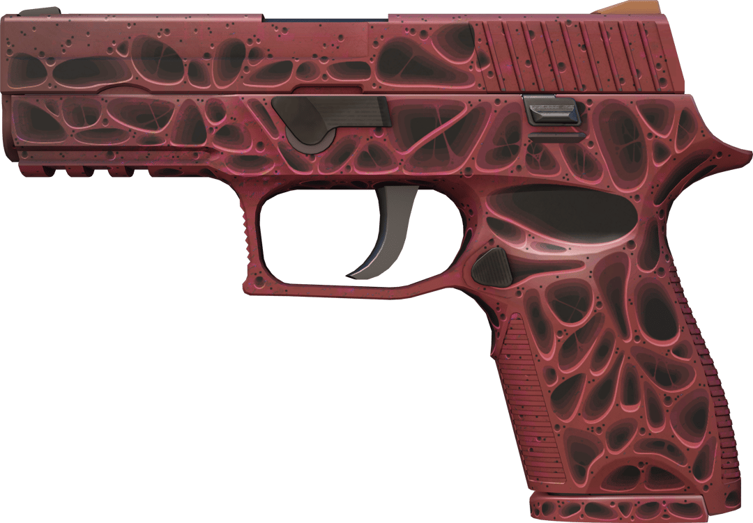 P250 | Schadstoff (Fabrikneu)