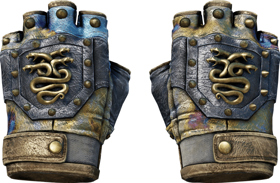 ★ Hydra Gloves | Case Hardened (Battle-Scarred)