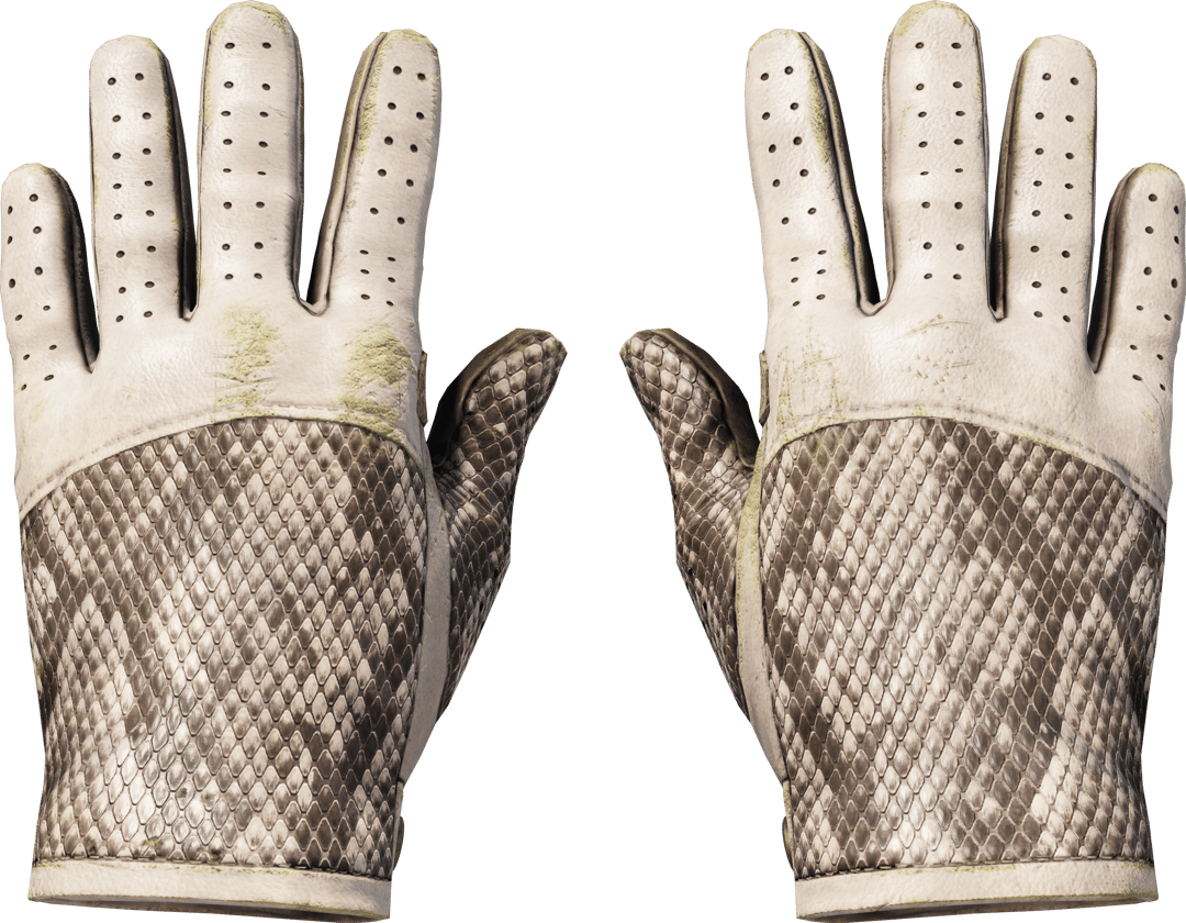 ★ Driver Gloves | King Snake (Well-Worn)