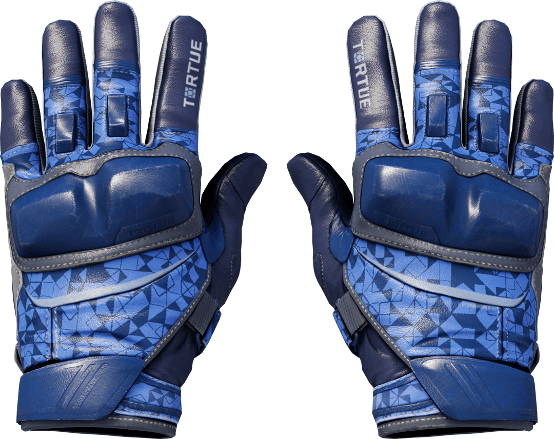 Motorradhandschuhe (★) | Polygon (Einsatzerprobt)
