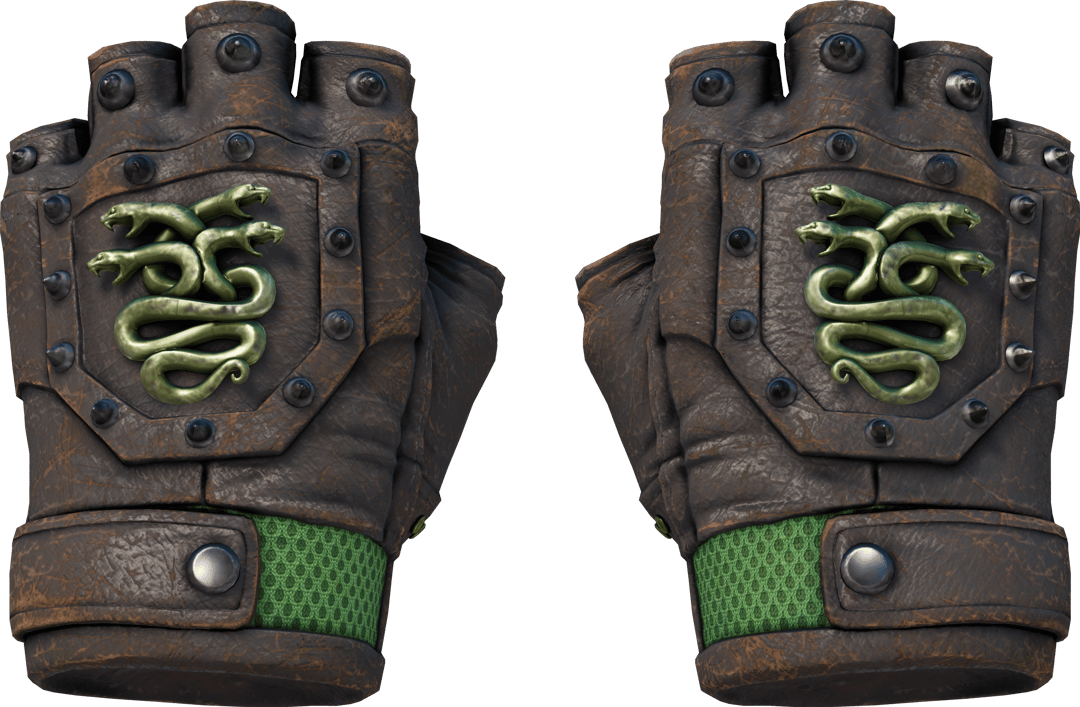 ★ Hydra Gloves | Emerald (Well-Worn)