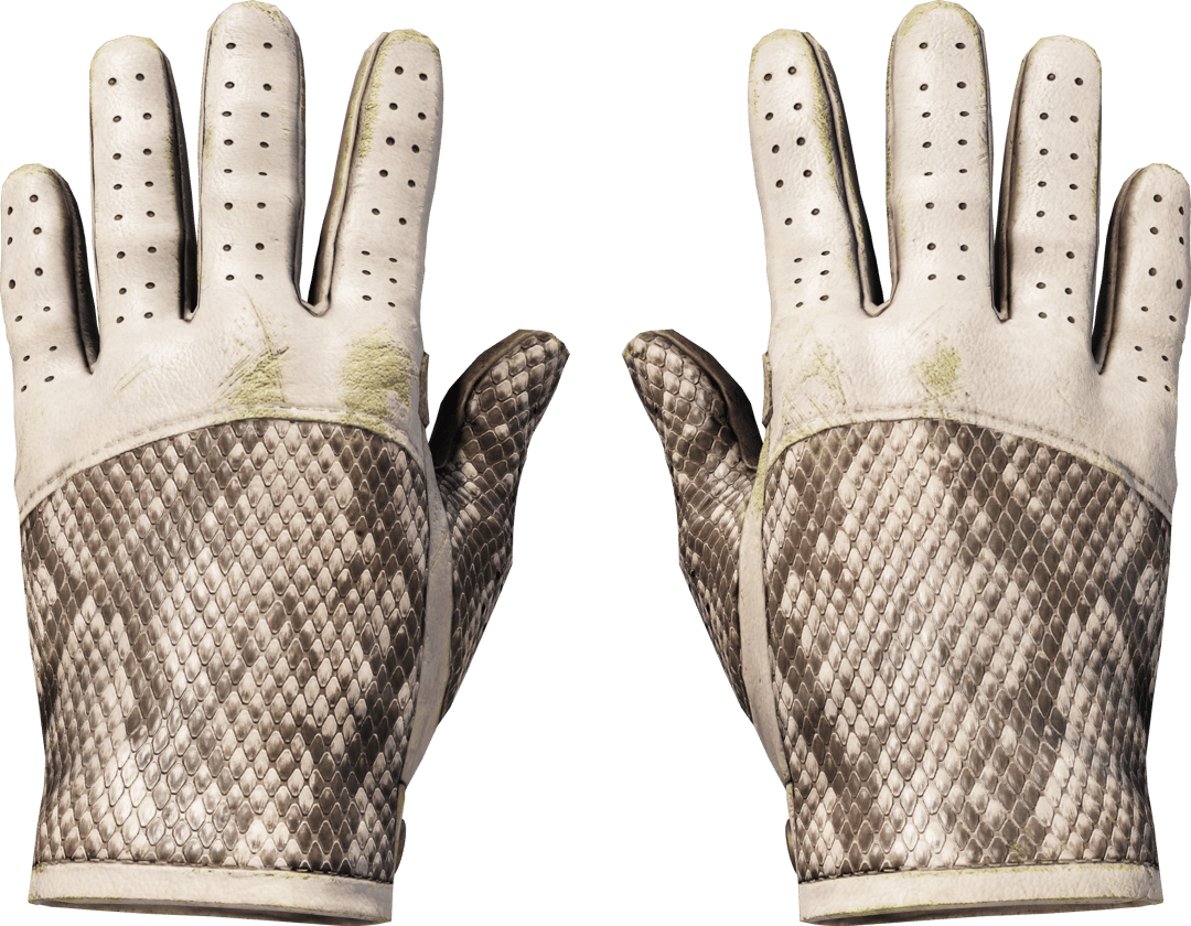 ★ Driver Gloves | King Snake (Well-Worn)