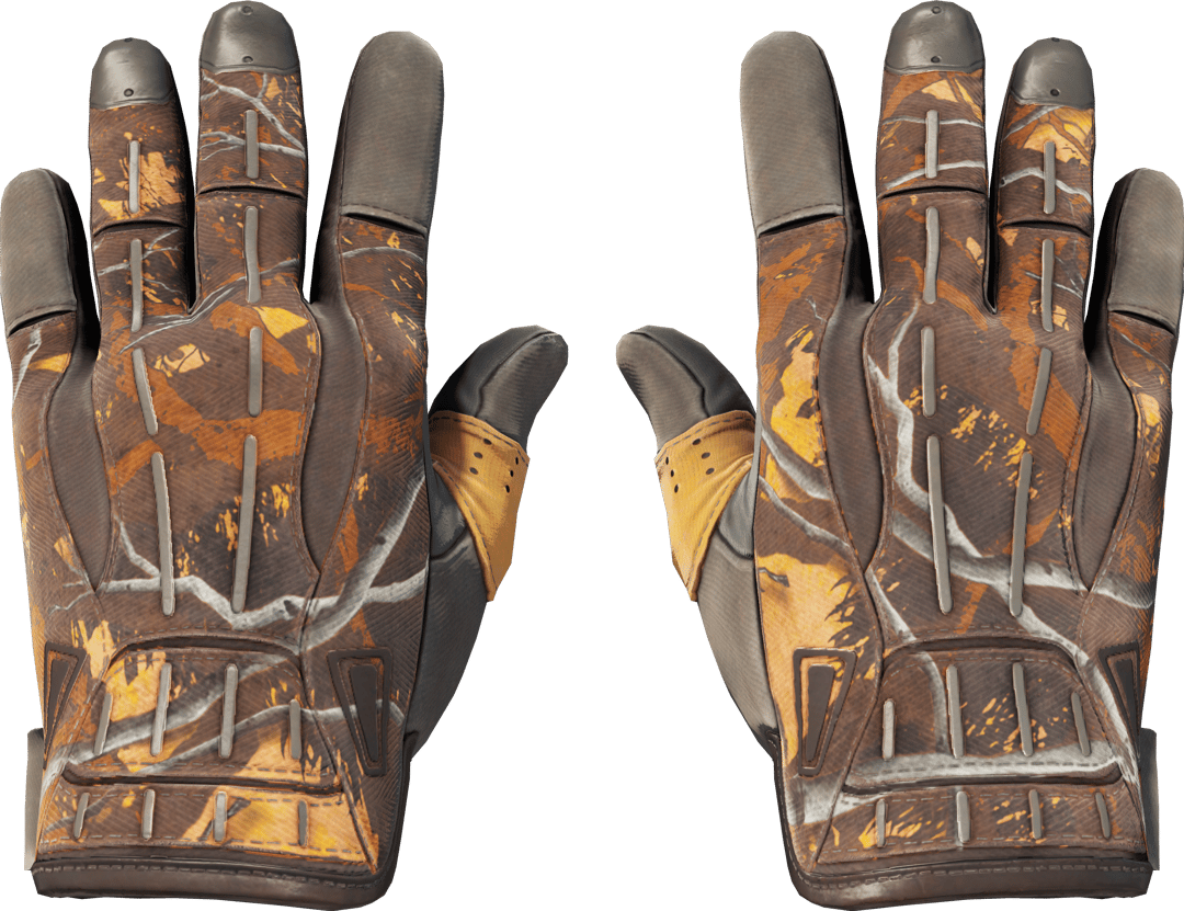 ★ Sport Gloves | Big Game (Field-Tested)