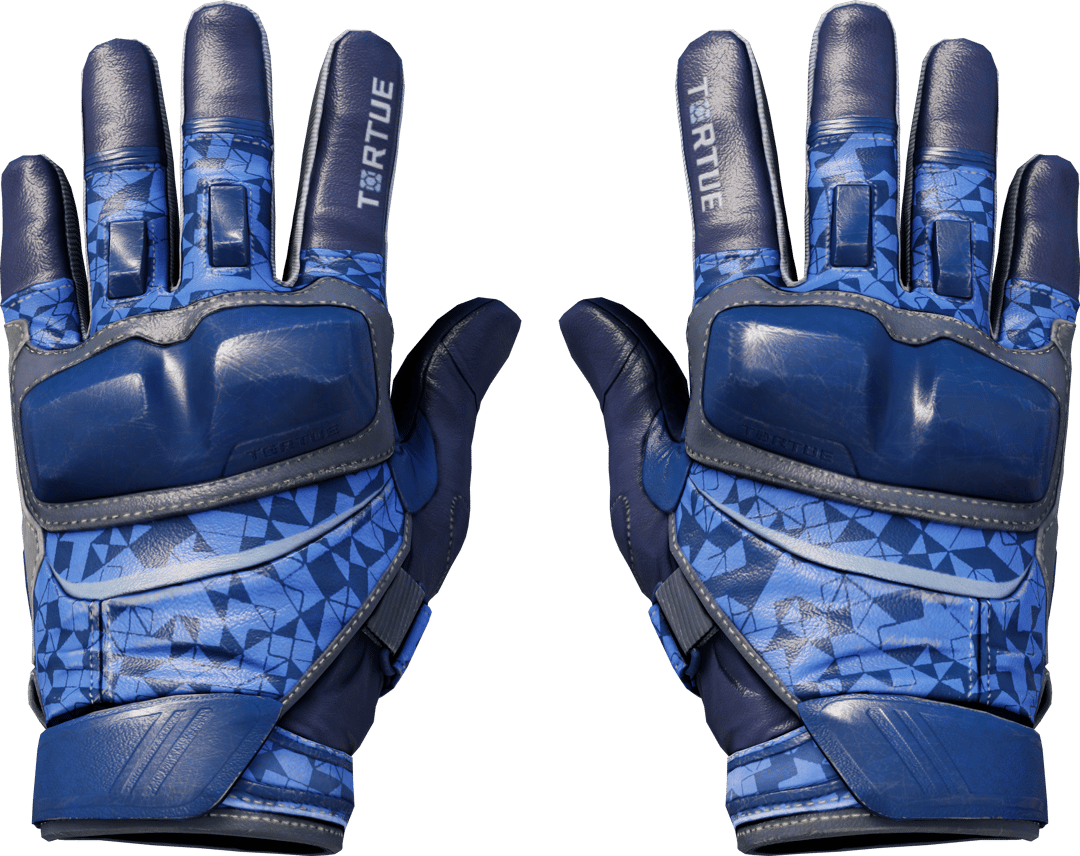 Motorradhandschuhe (★) | Polygon (Einsatzerprobt)