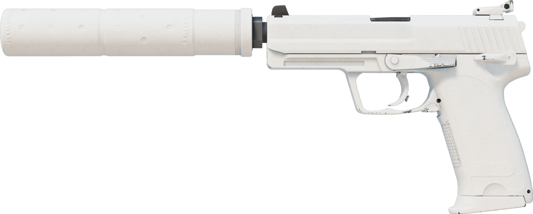 USP-S | Whiteout (Fabrikneu)