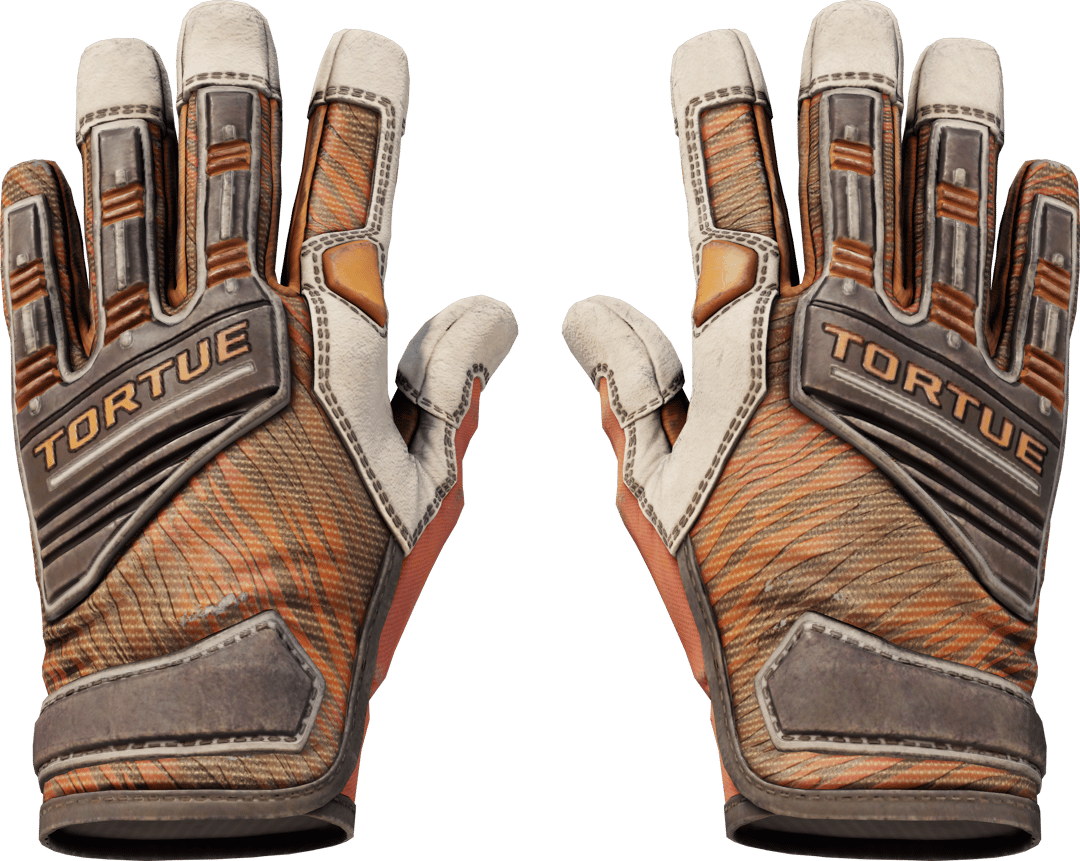 Spezialistenhandschuhe (★) | Tigerangriff (Abgenutzt)