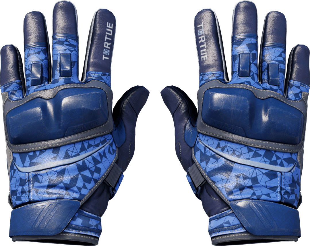 Motorradhandschuhe (★) | Polygon (Einsatzerprobt)