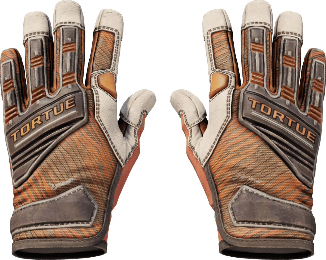 Spezialistenhandschuhe (★) | Tigerangriff (Abgenutzt)