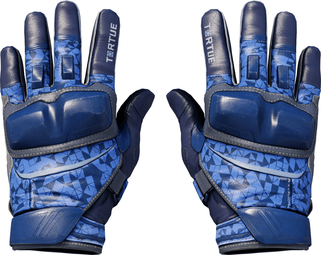 Motorradhandschuhe (★) | Polygon (Einsatzerprobt)