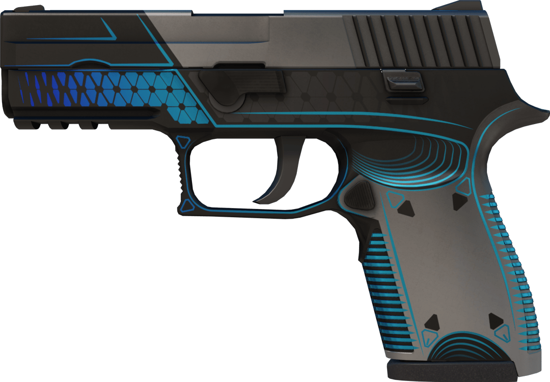 P250 | Valence (Minimale Gebrauchsspuren)