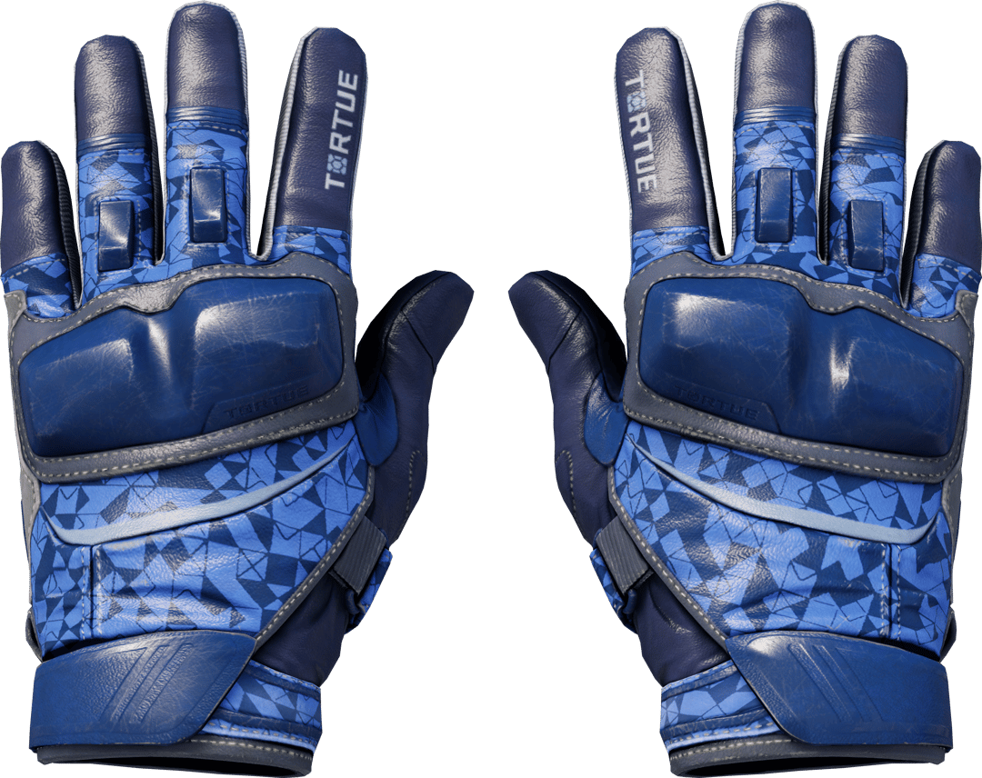 ★ Moto Gloves | Polygon (Field-Tested)