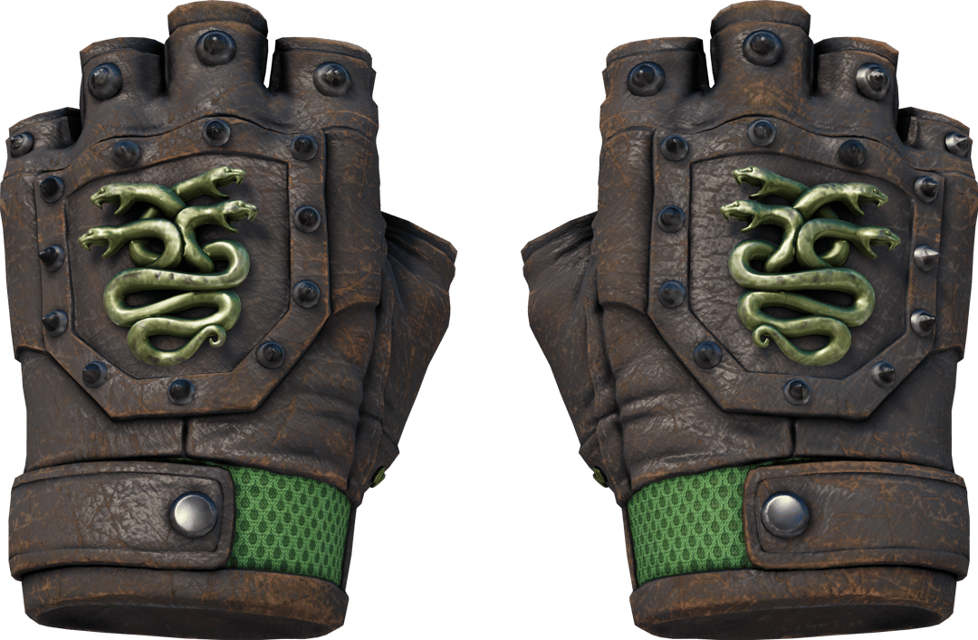 ★ Hydra Gloves | Emerald (Well-Worn)