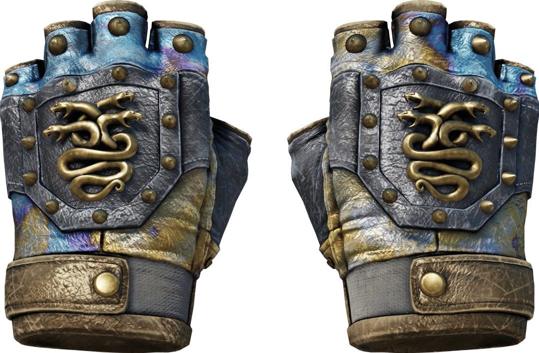 ★ Hydra Gloves | Case Hardened (Battle-Scarred)