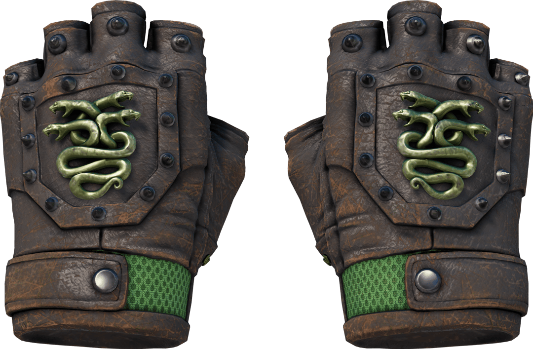 ★ Hydra Gloves | Emerald (Well-Worn)