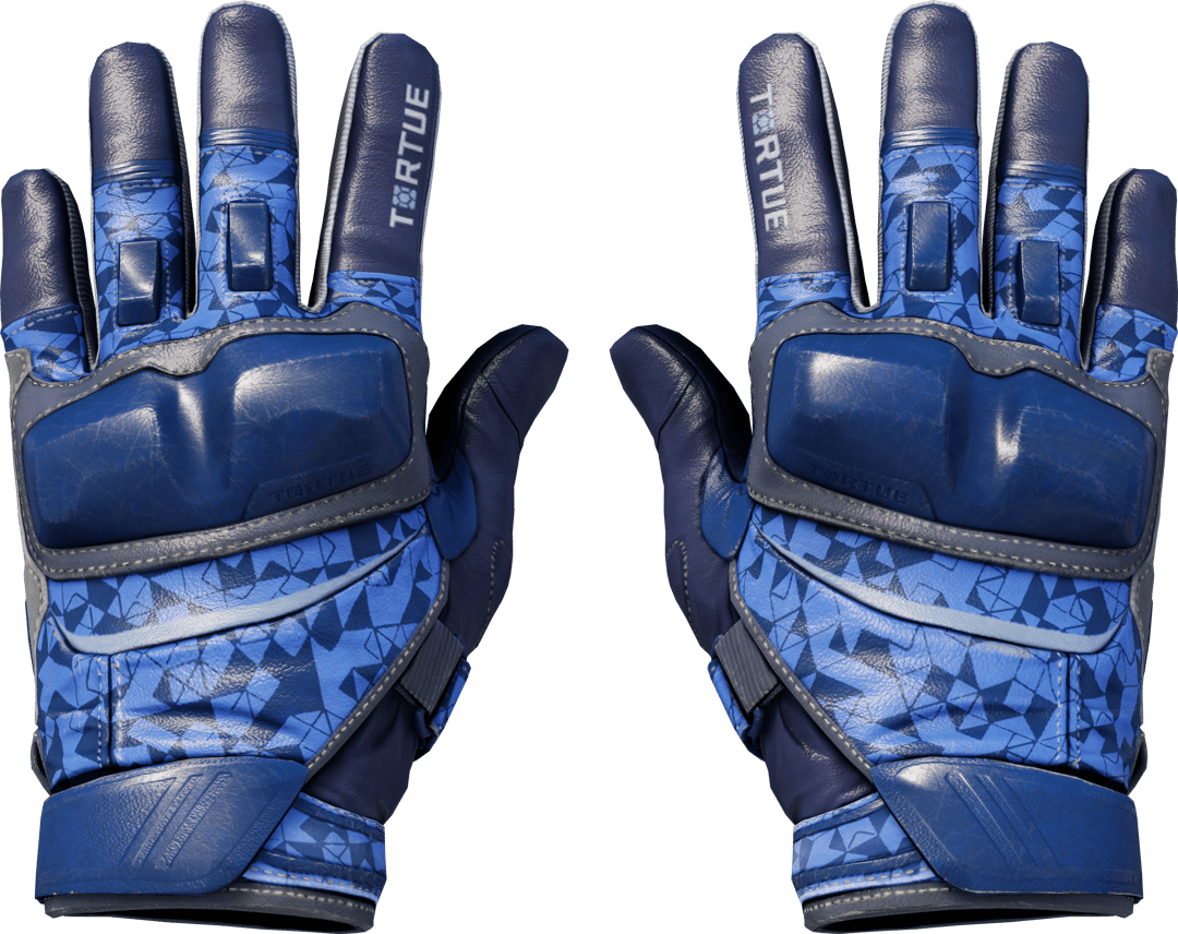 ★ Moto Gloves | Polygon (Field-Tested)