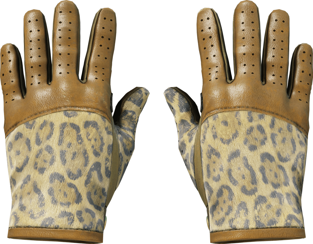 ★ Driver Gloves | Queen Jaguar (Field-Tested)