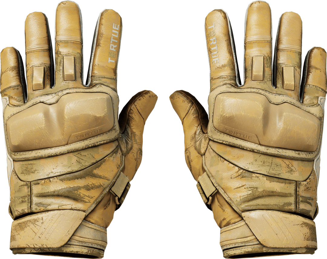 Motorradhandschuhe (★) | Transport (Abgenutzt)