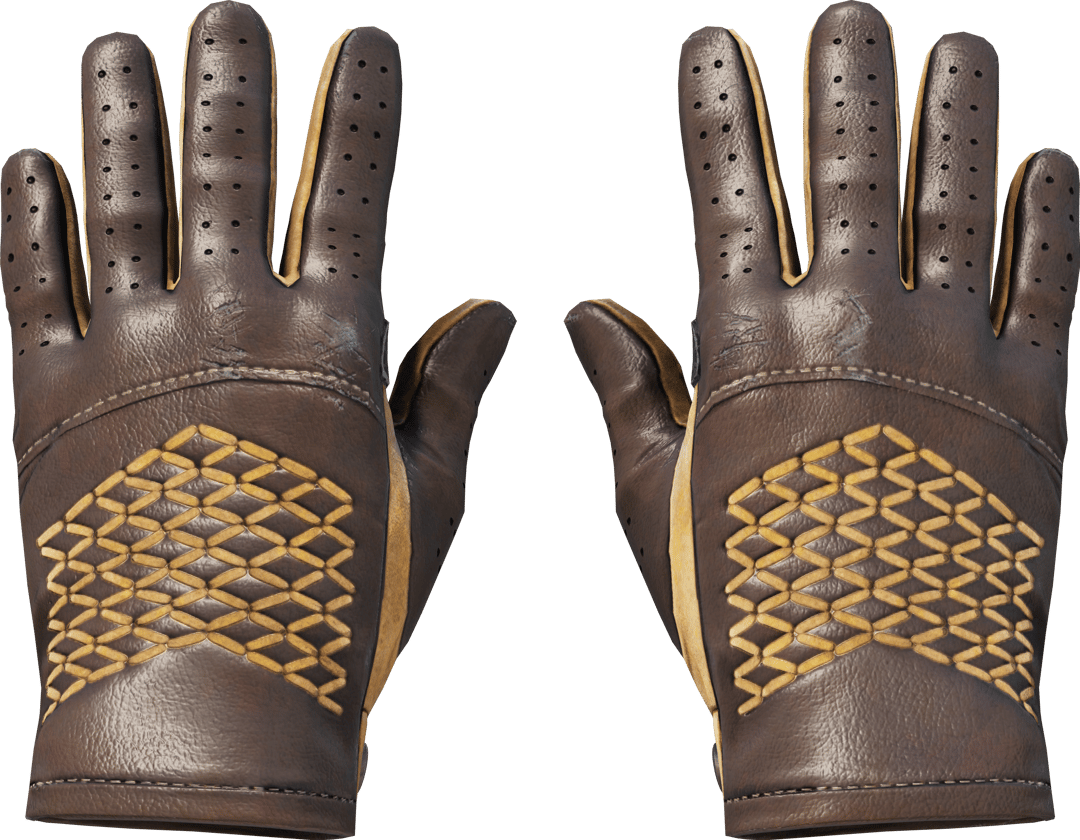 ★ Driver Gloves | Overtake (Field-Tested)