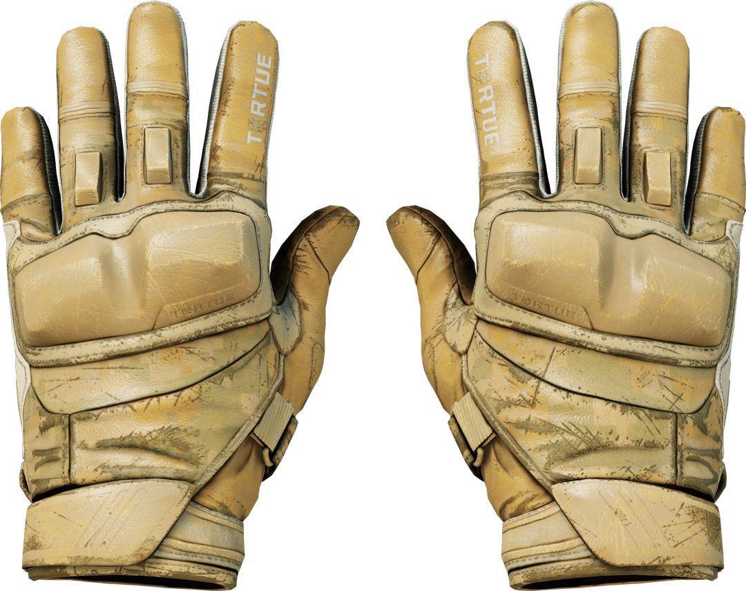 Motorradhandschuhe (★) | Transport (Abgenutzt)