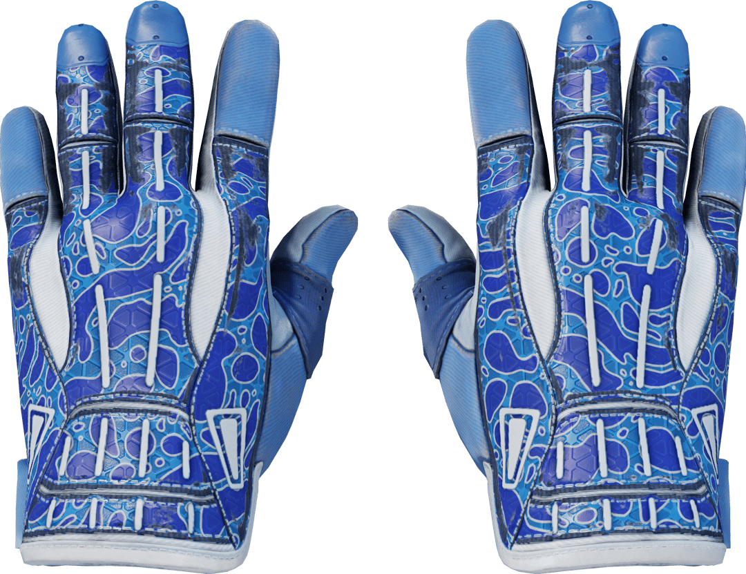 ★ Sport Gloves | Amphibious (Field-Tested)