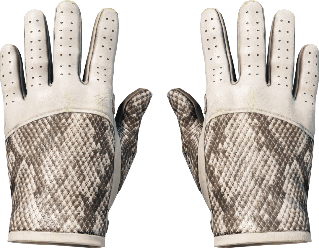 ★ Driver Gloves | King Snake (Field-Tested)