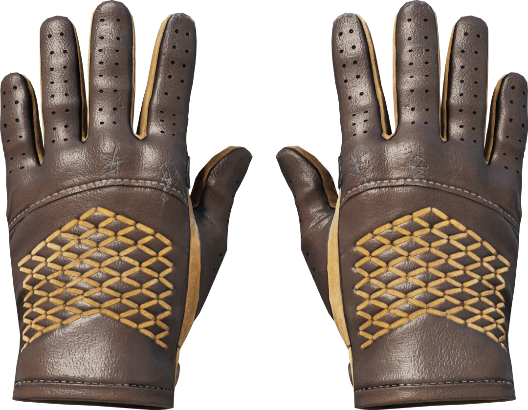 ★ Driver Gloves | Overtake (Field-Tested)
