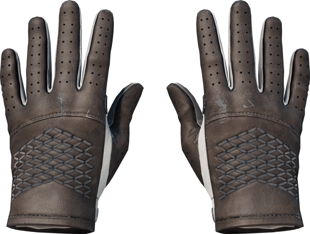 ★ Driver Gloves | Black Tie (Field-Tested)