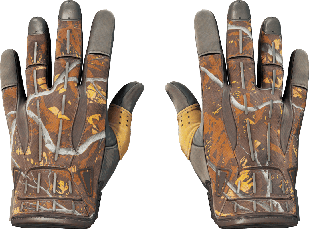 ★ Sport Gloves | Big Game (Field-Tested)