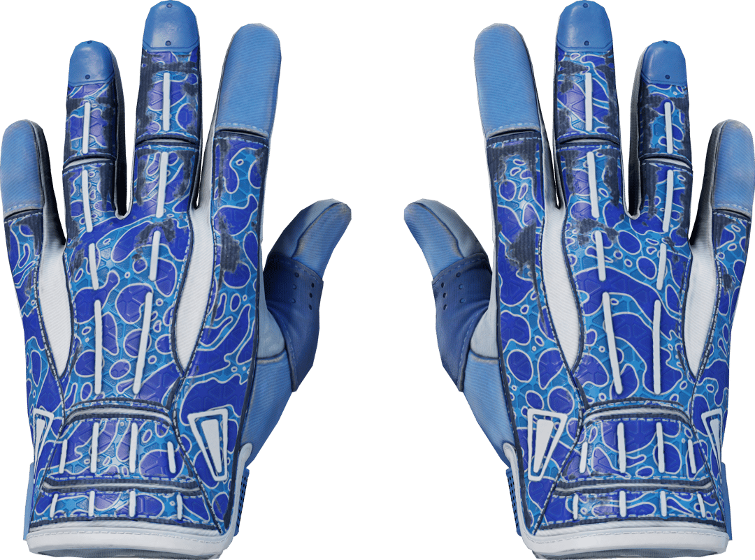 ★ Sport Gloves | Amphibious (Field-Tested)