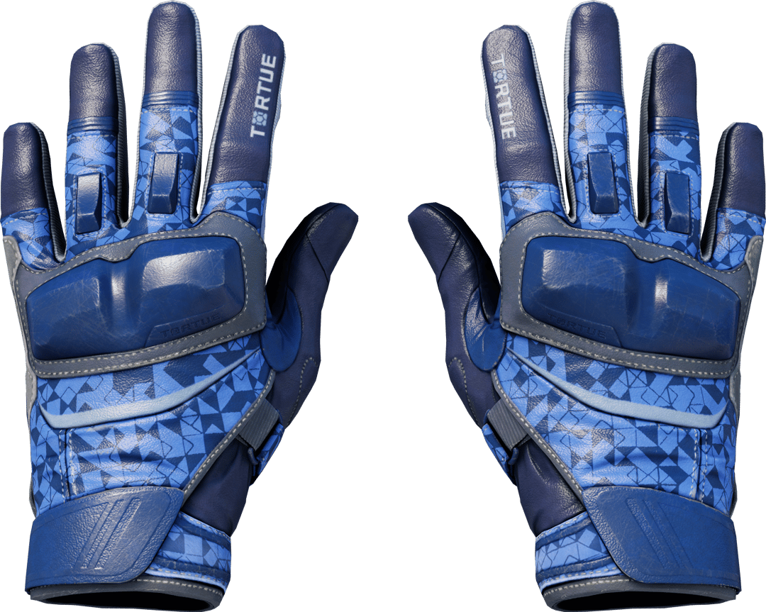 ★ Moto Gloves | Polygon (Field-Tested)