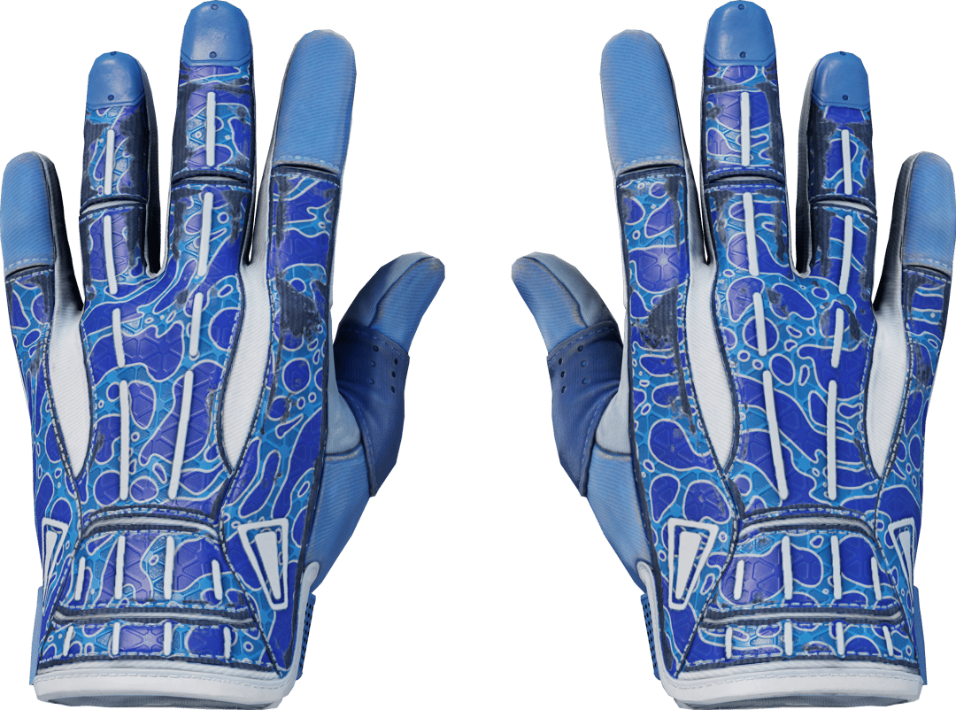 ★ Sport Gloves | Amphibious (Field-Tested)