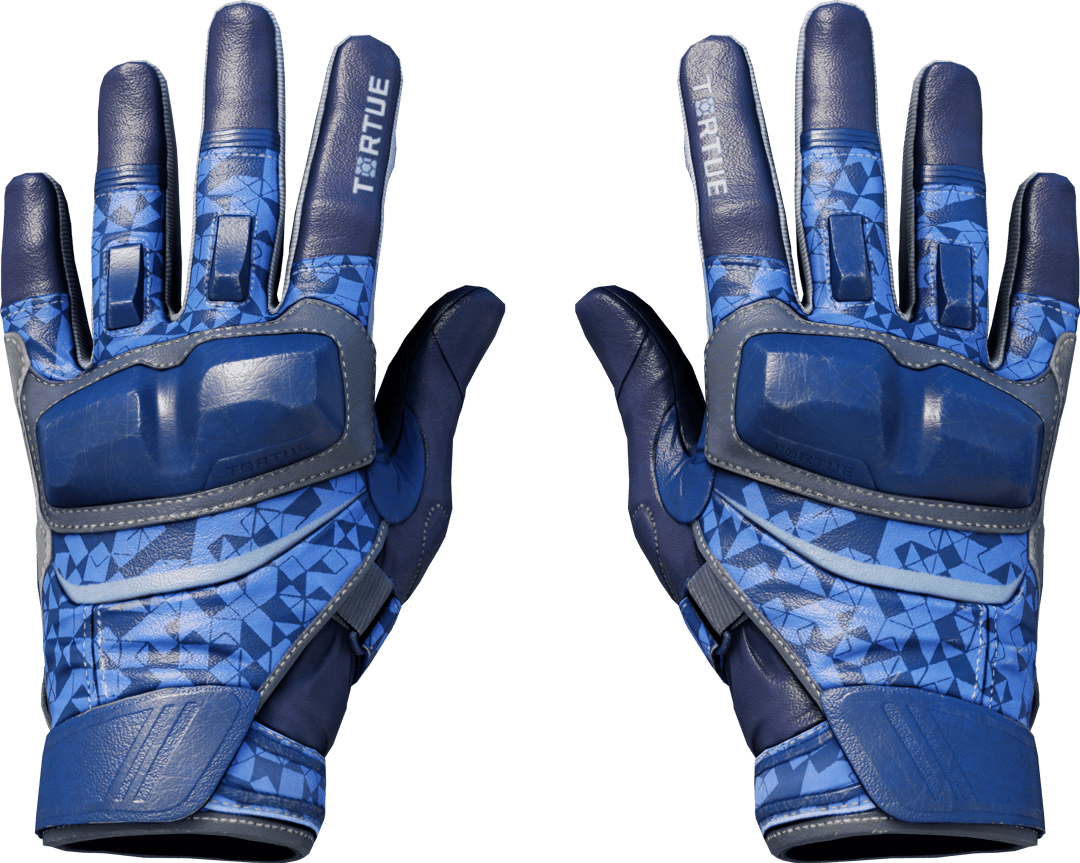 ★ Moto Gloves | Polygon (Field-Tested)