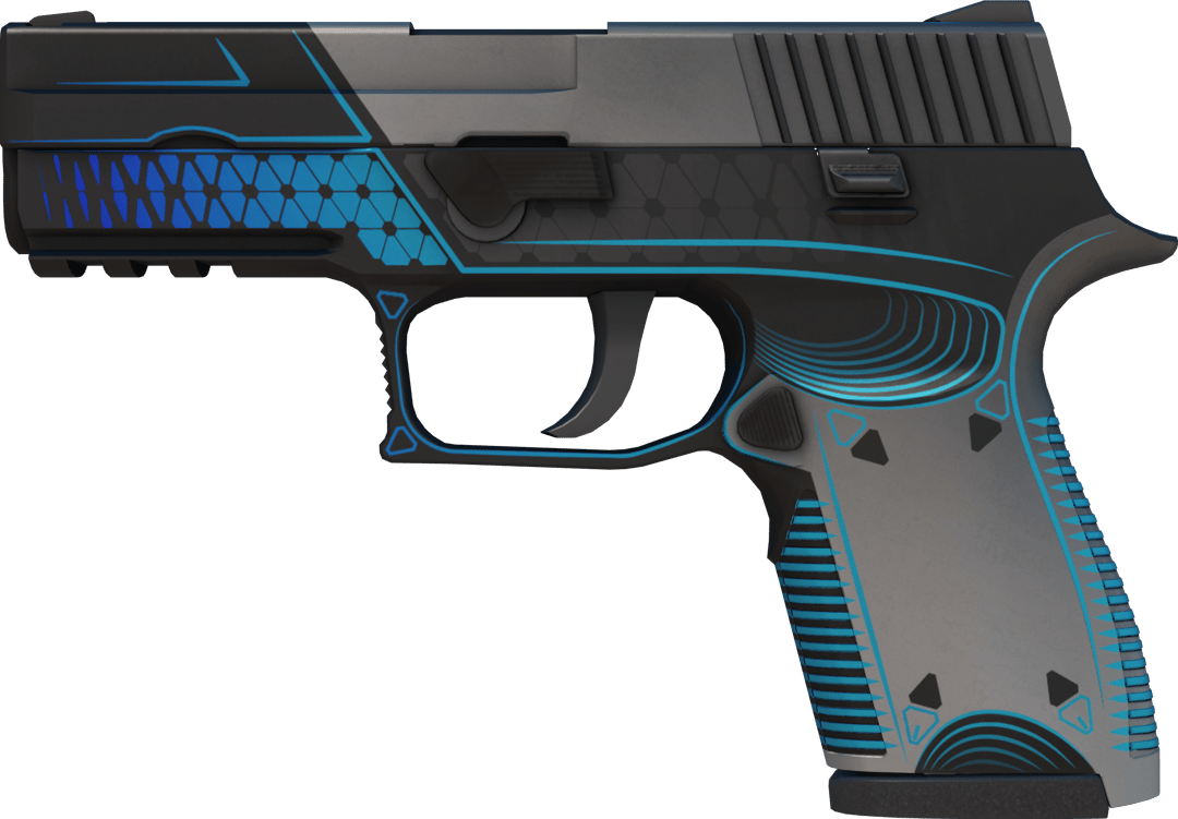 P250 | Valence (Minimale Gebrauchsspuren)