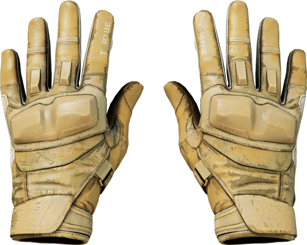 Motorradhandschuhe (★) | Transport (Abgenutzt)