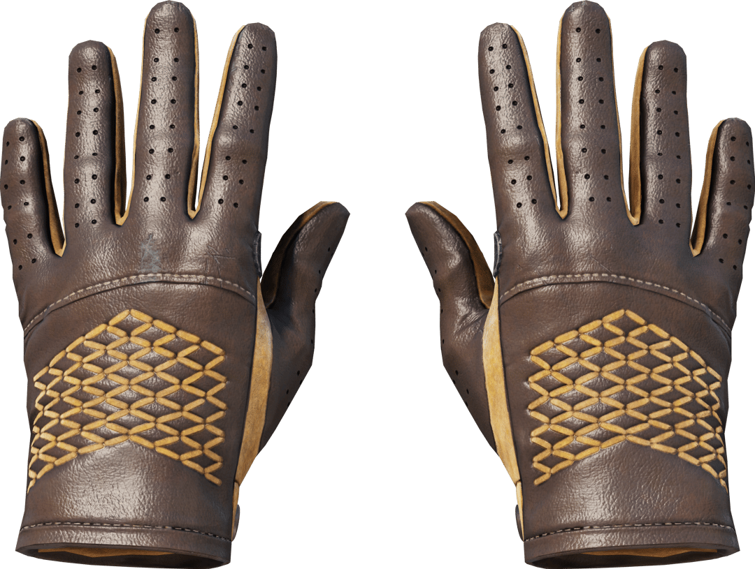 ★ Driver Gloves | Overtake (Field-Tested)