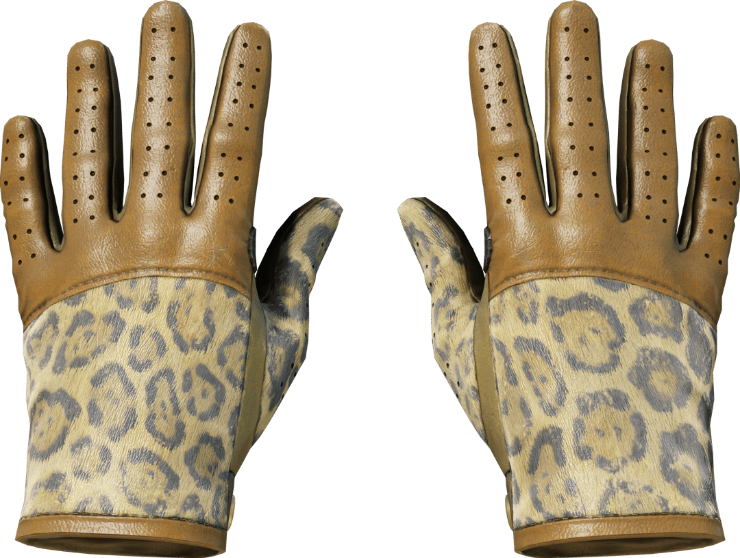 ★ Driver Gloves | Queen Jaguar (Field-Tested)