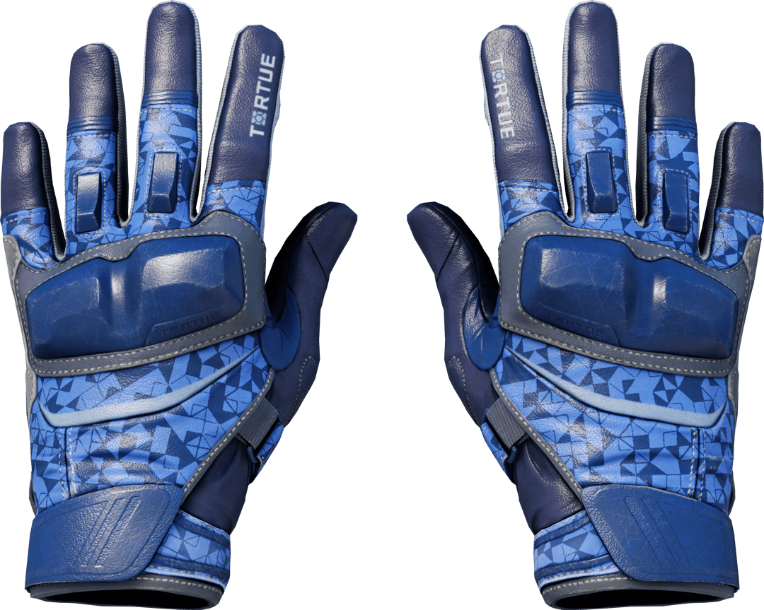 ★ Moto Gloves | Polygon (Field-Tested)