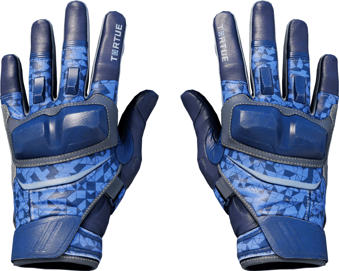 ★ Moto Gloves | Polygon (Field-Tested)