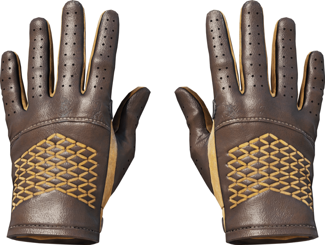 ★ Driver Gloves | Overtake (Field-Tested)