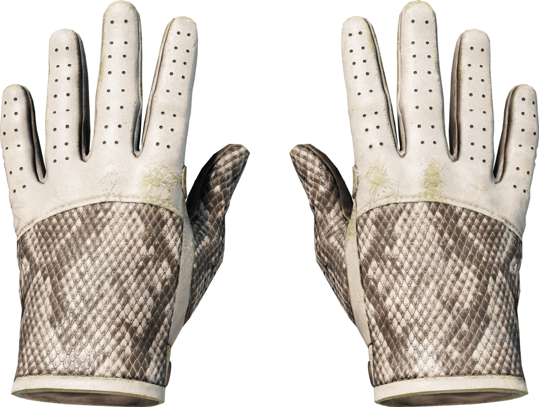 ★ Driver Gloves | King Snake (Well-Worn)