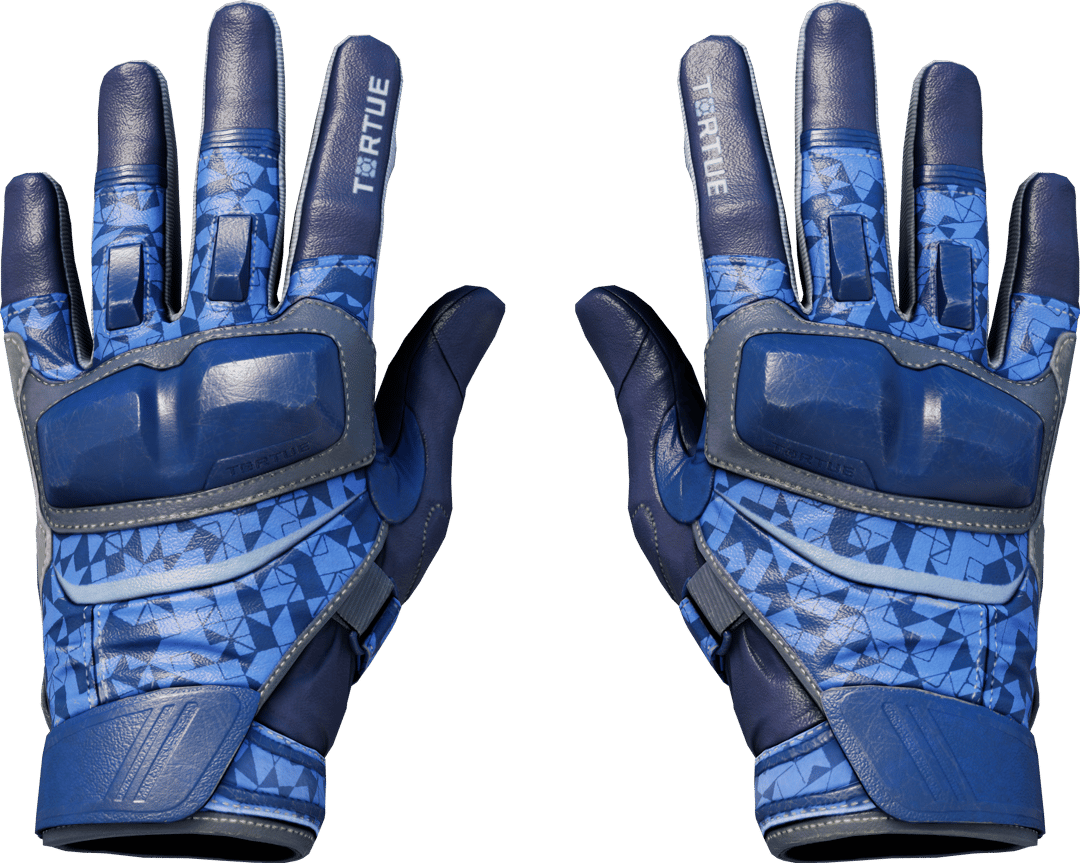 ★ Moto Gloves | Polygon (Field-Tested)