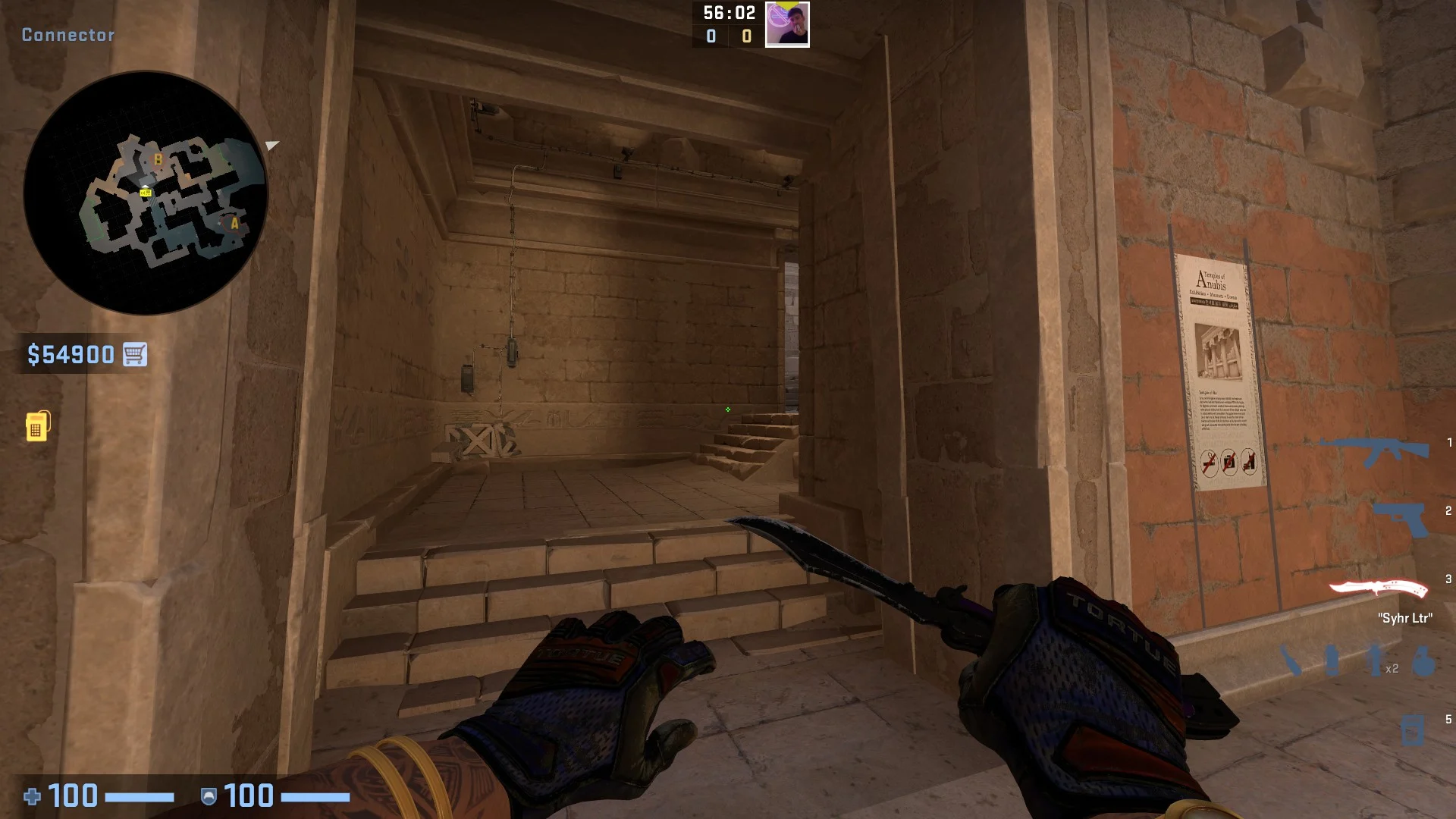 Connector Anubis