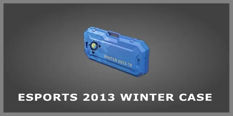 eSports 2013 Winter Case