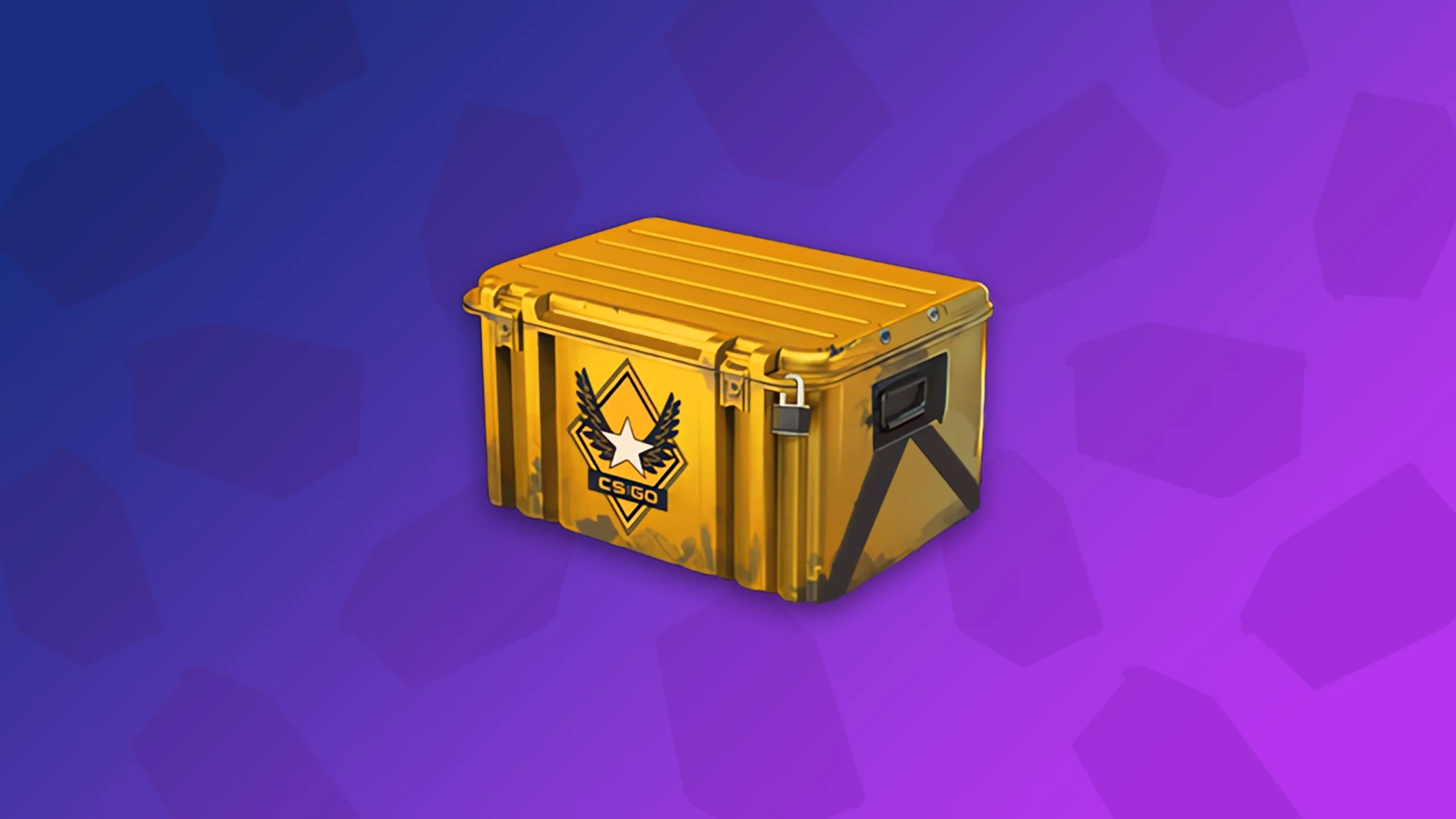 Winter Offensive Weapon Case